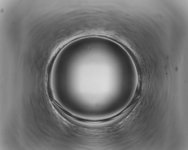 X0000086781508200704131201