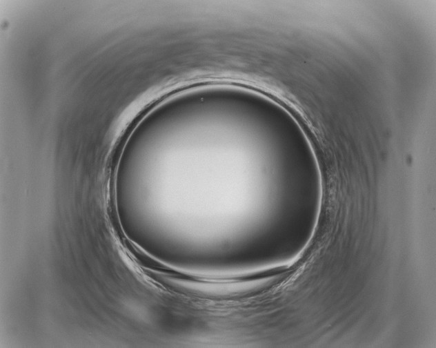X0000086781511200704131201