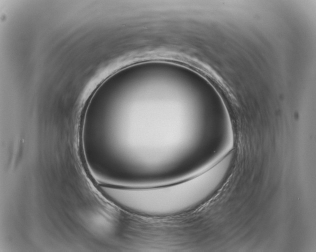X0000086781512200704131201