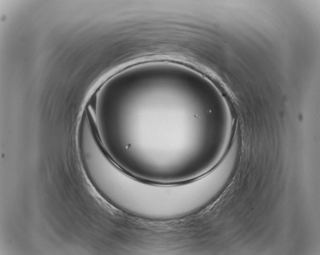 X0000086781516200704131201
