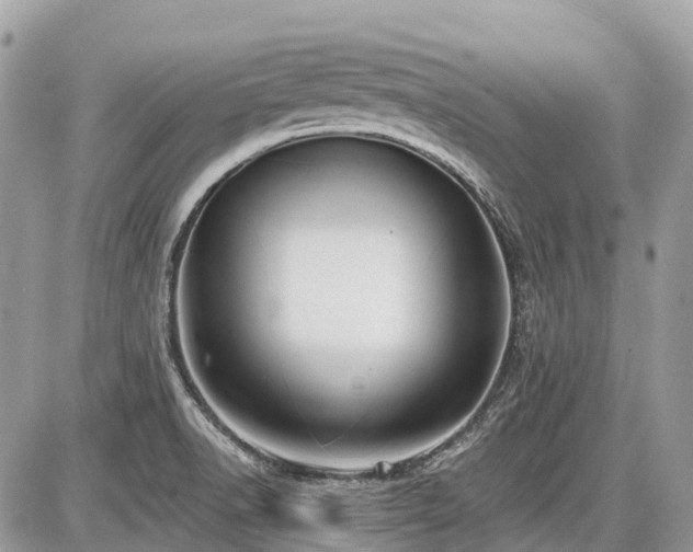 X0000086781518200704131201
