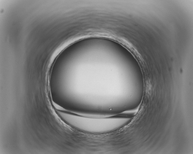 X0000086781520200704131201