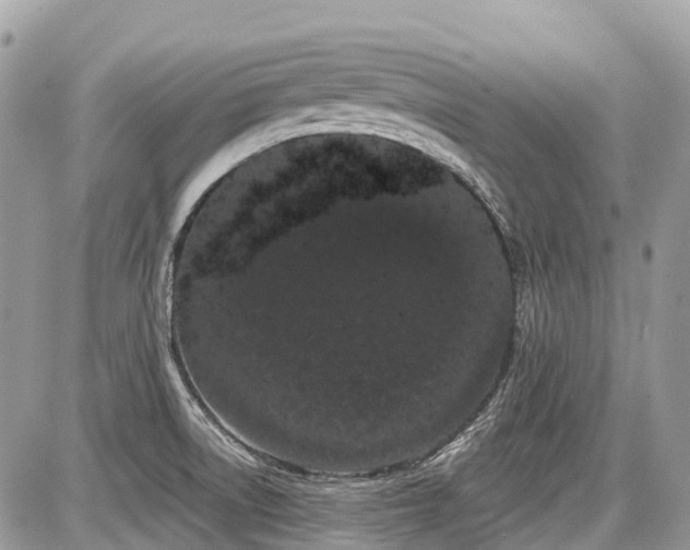 X0000086781522200704131201