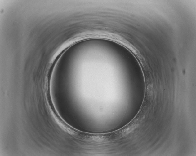 X0000086781523200704131201