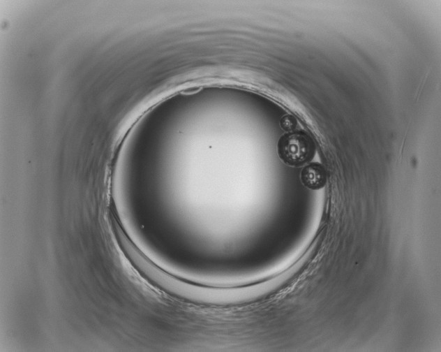 X0000086781524200704131201