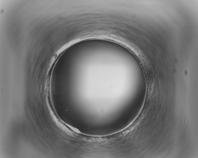 X0000086781526200704131201