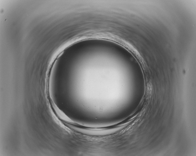 X0000086781528200704131201