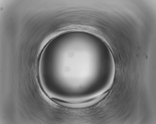 X0000086781531200704131201