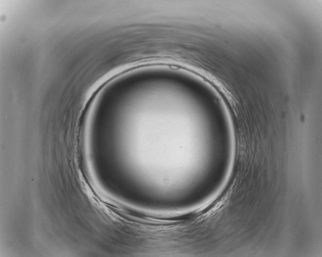X0000086781534200704131201