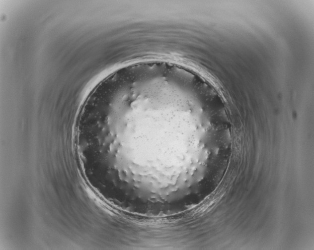 X0000086781535200704131201