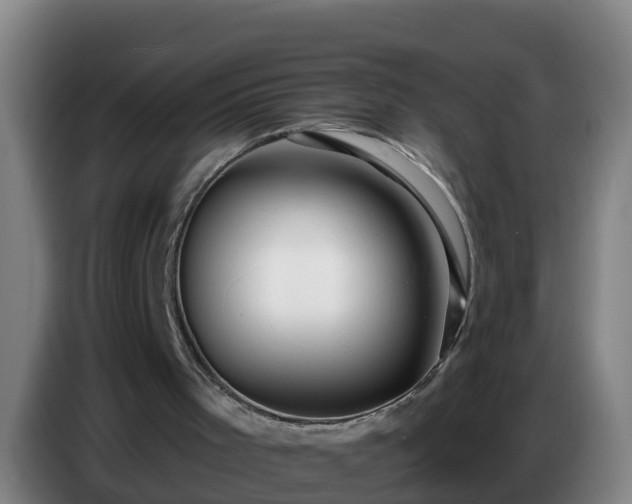 X0000086780001200704201833