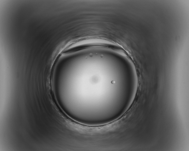 X0000086780002200704201833