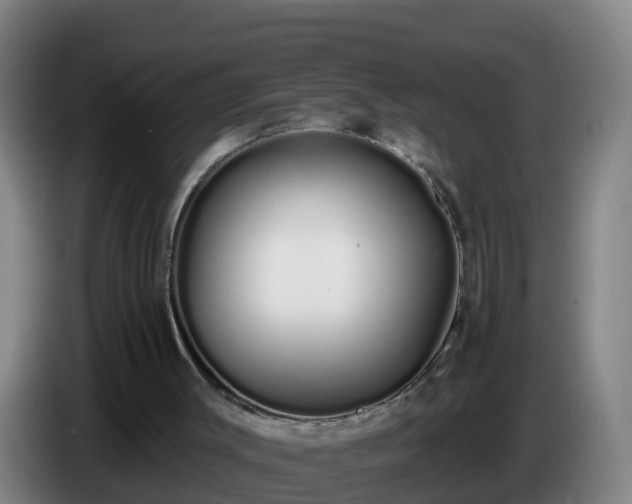 X0000086780003200704201833