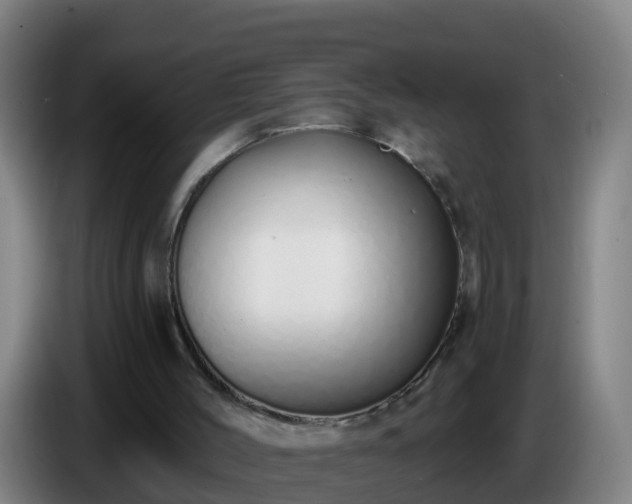 X0000086780004200704201833