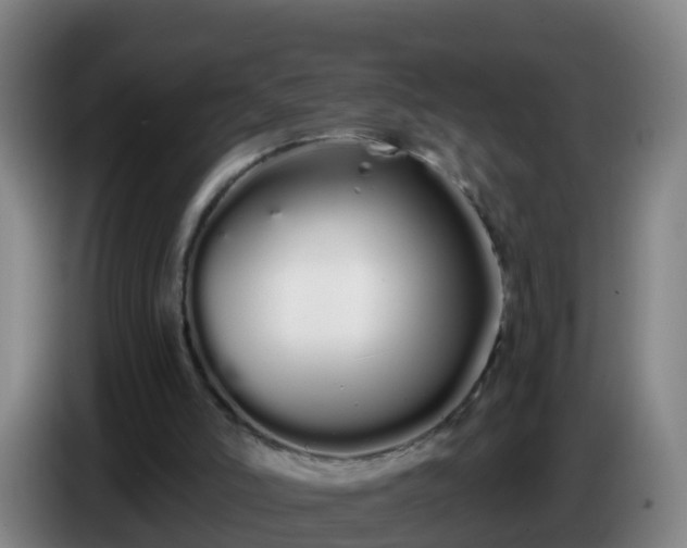 X0000086780006200704201833