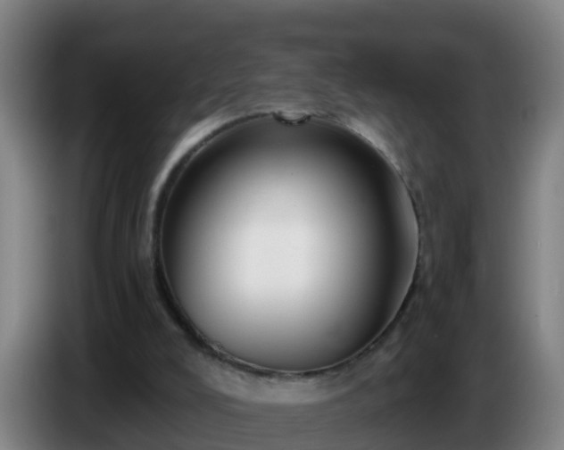 X0000086780008200704201833