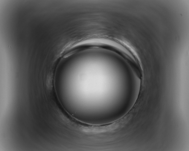 X0000086780009200704201833