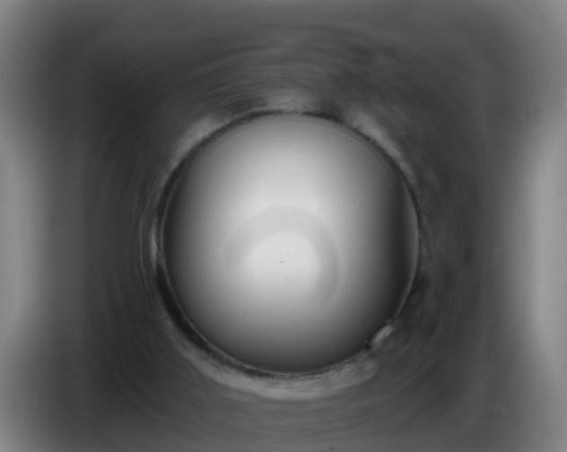 X0000086780011200704201833