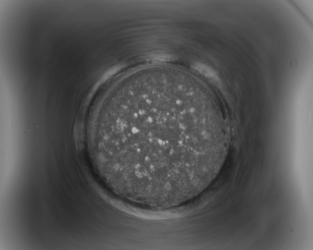 X0000086780012200704201833