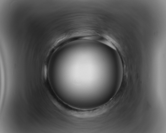 X0000086780013200704201833