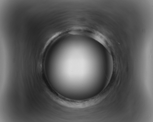 X0000086780015200704201833