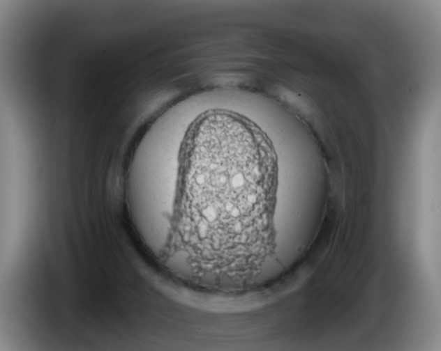 X0000086780016200704201833