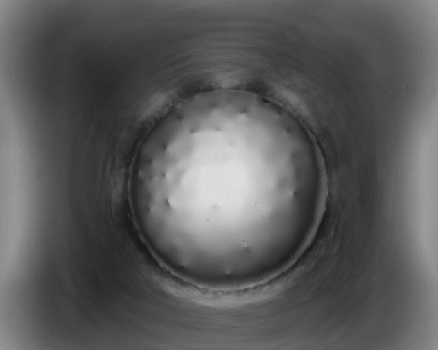 X0000086780018200704201833