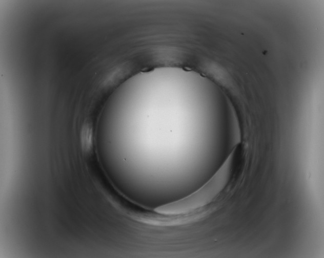 X0000086780021200704201833