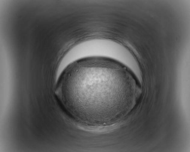 X0000086780023200704201833