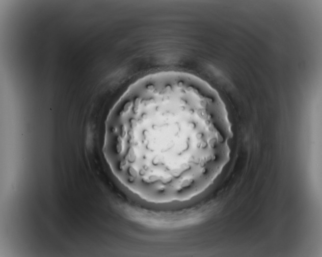 X0000086780026200704201833