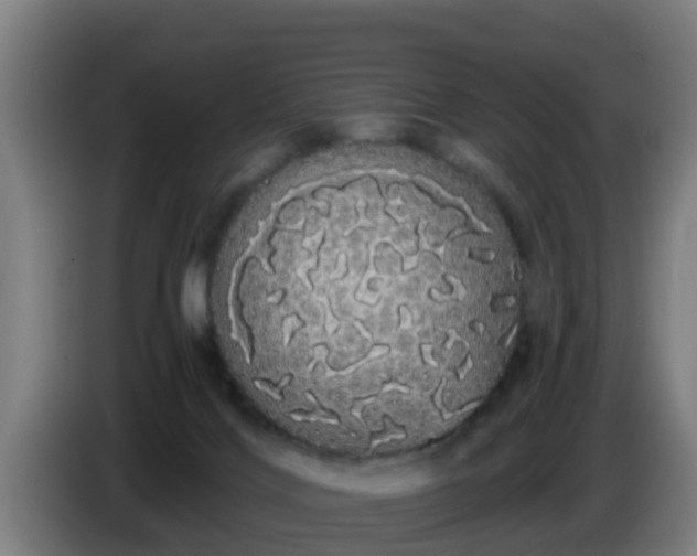 X0000086780028200704201833