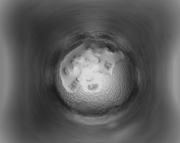 X0000086780030200704201833