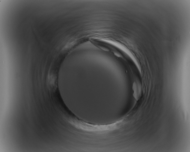 X0000086780031200704201833