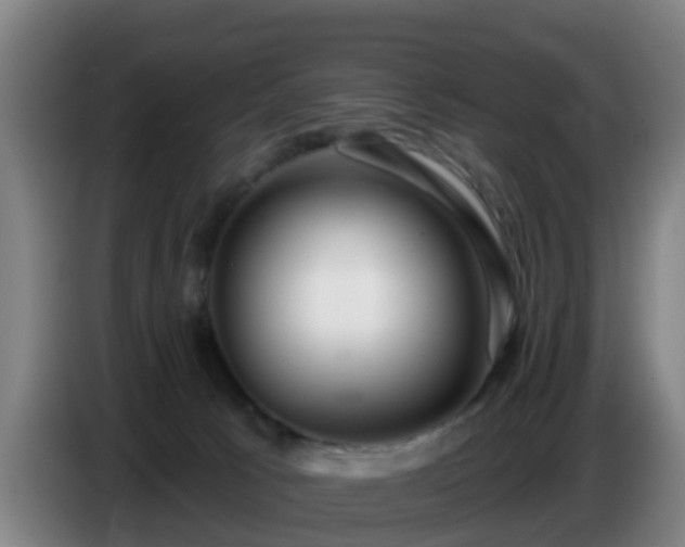 X0000086780033200704201833