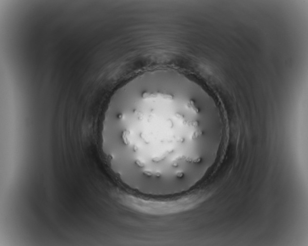 X0000086780034200704201833