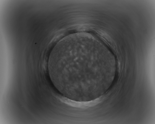 X0000086780035200704201833