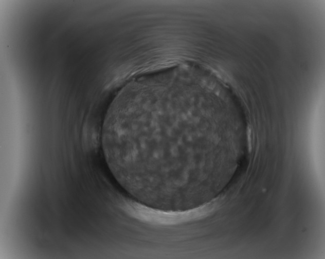 X0000086780039200704201833