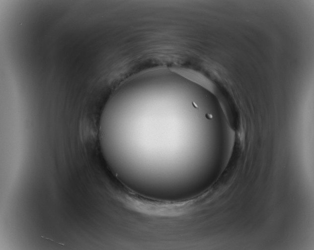 X0000086780040200704201833