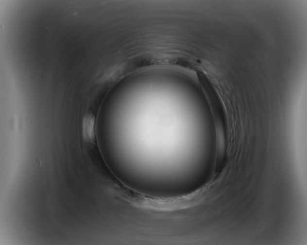 X0000086780041200704201833