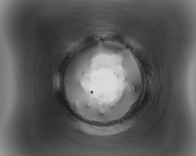 X0000086780042200704201833