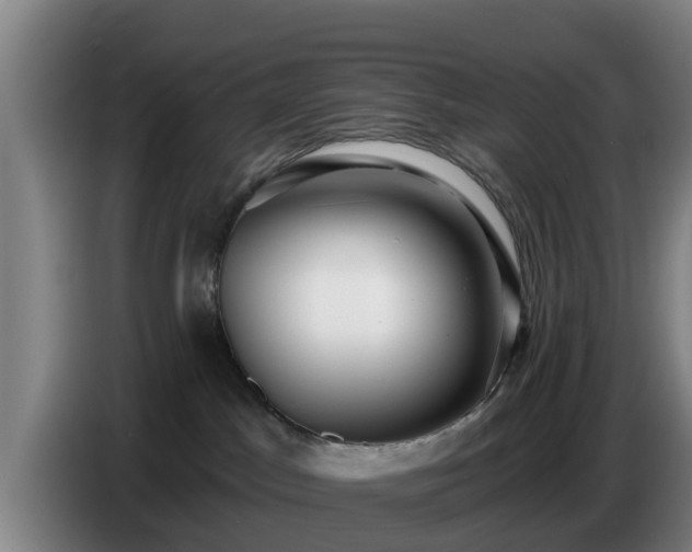 X0000086780045200704201832