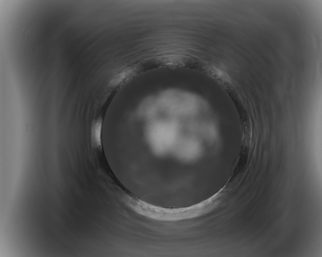 X0000086780047200704201832