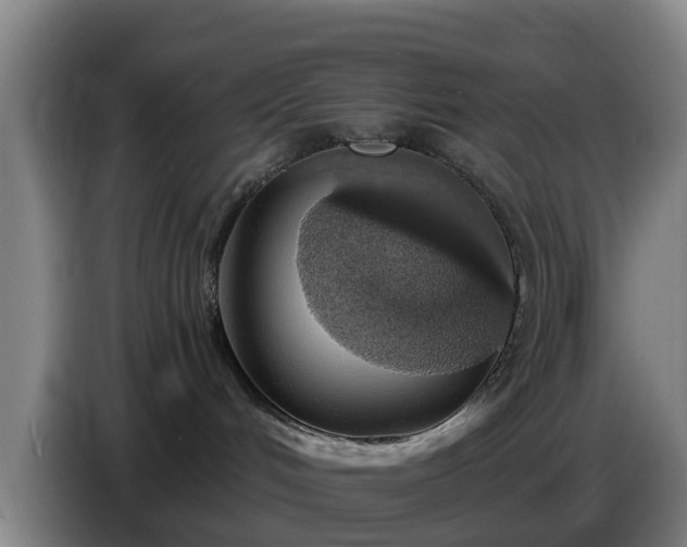 X0000086780048200704201832