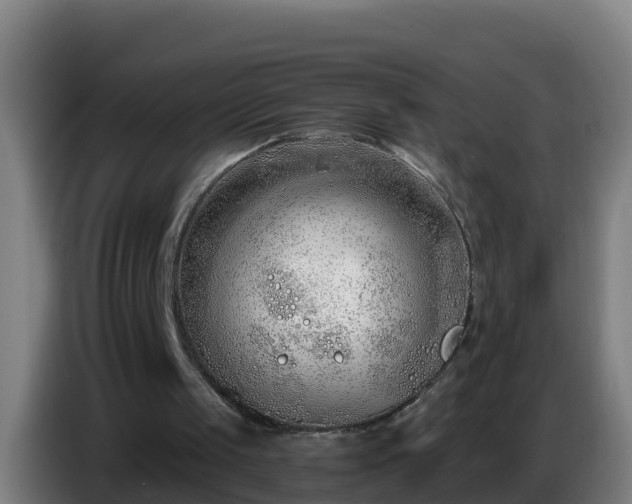 X0000086780049200704201832