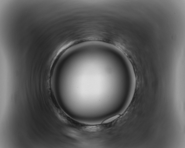 X0000086780050200704201832