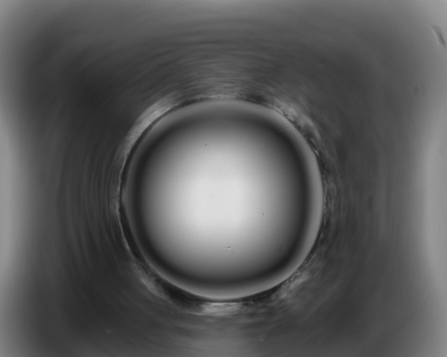 X0000086780051200704201832