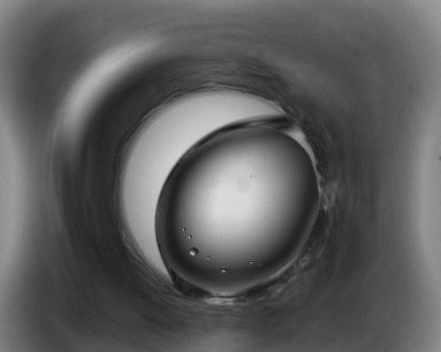 X0000086780052200704201832