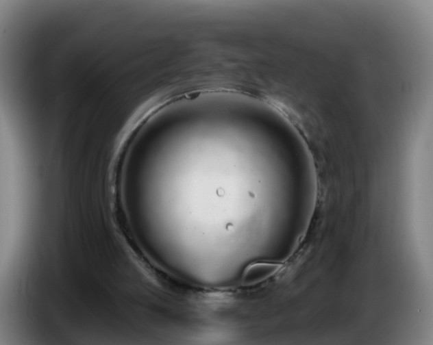 X0000086780053200704201832