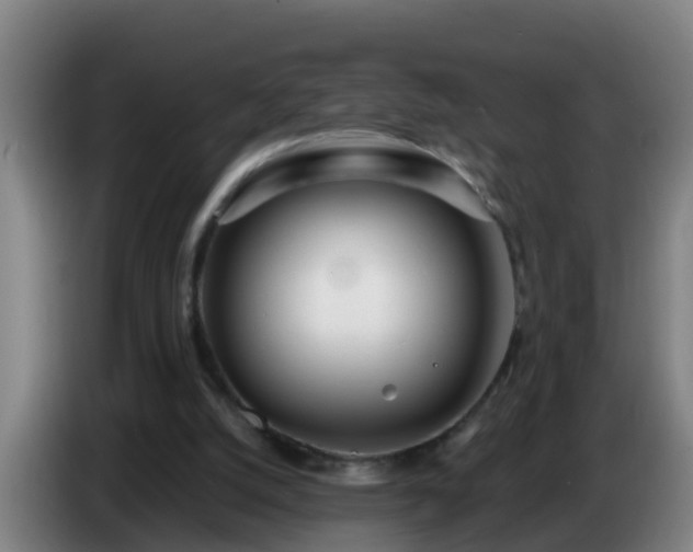 X0000086780056200704201832