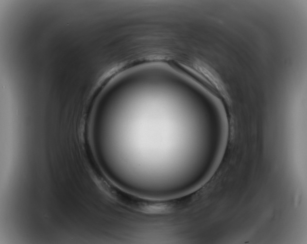 X0000086780058200704201832